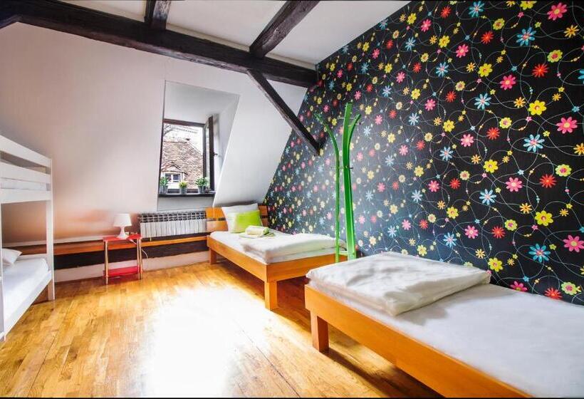 اتاق استاندارد با سرویس بهداشتی مشترک, Hostel Centar