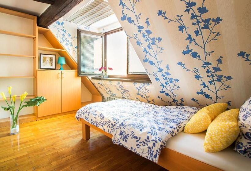 اتاق استاندارد یک تخته با سرویس بهداشتی مشترک, Hostel Centar