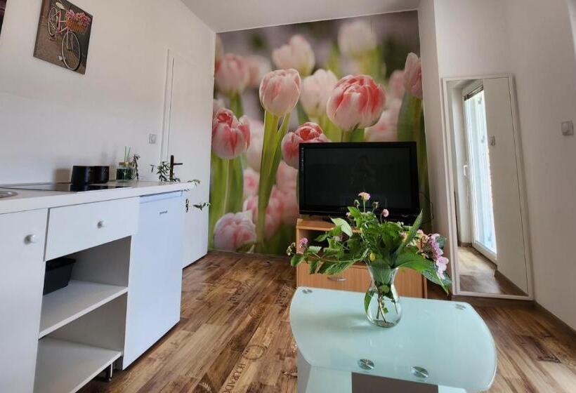 آپارتمان 1 خوابه با چشم‌انداز دریا, Sunrise Apartments Baošići