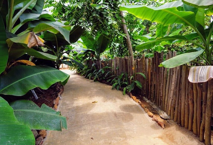 آپارتمان 1 خوابه با چشم‌انداز استخر, The Family Kingdom Resort