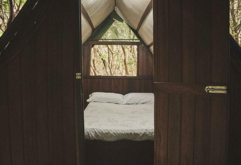 스탠다드 룸, Lagarto Na Banana Hostel