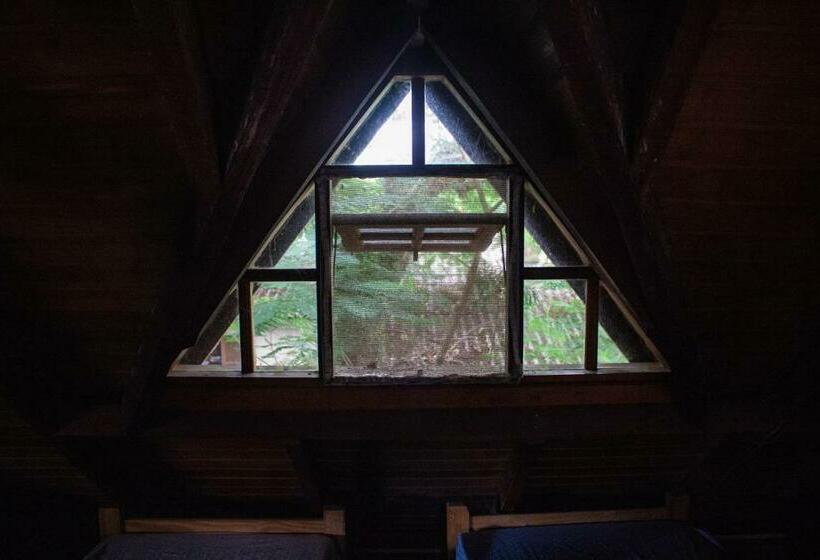 Кровать в Общей Комнате, Sagui Hostel