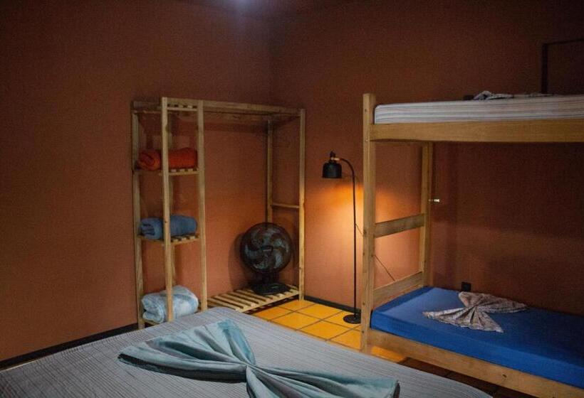 اتاق استاندارد چهار تخته, Sagui Hostel