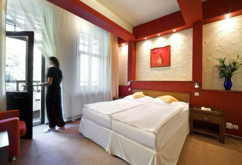 スタンダードルーム, Spa & Wellness Hotel St. Moritz