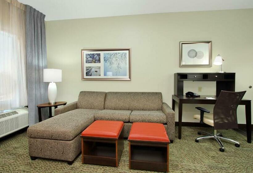 Студия Стандарт, Staybridge Suites   Houston   Medical Center, An Ihg