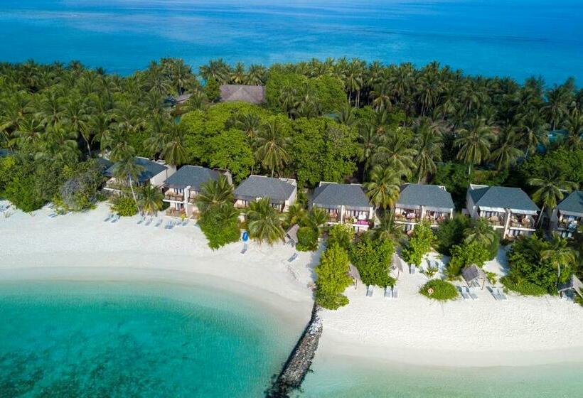 ویلای سوپریور 1 خوابه, Summer Island Maldives Resort