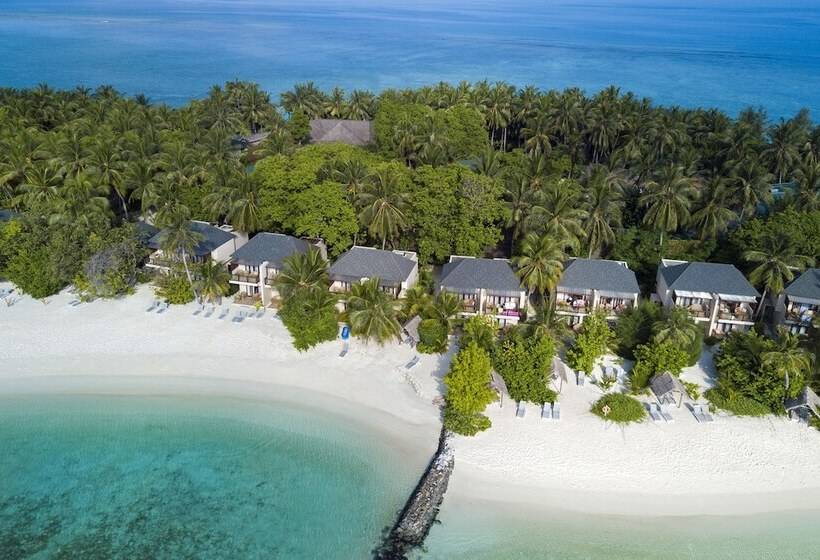 اتاق سوپریور, Summer Island Maldives Resort