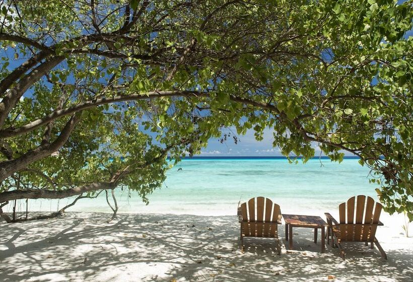 اتاق سوپریور, Summer Island Maldives Resort