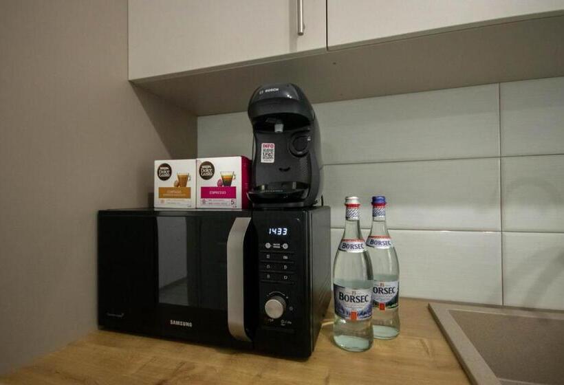 Апартаменты Deluxe 1 Спальня, Downtown Apartments