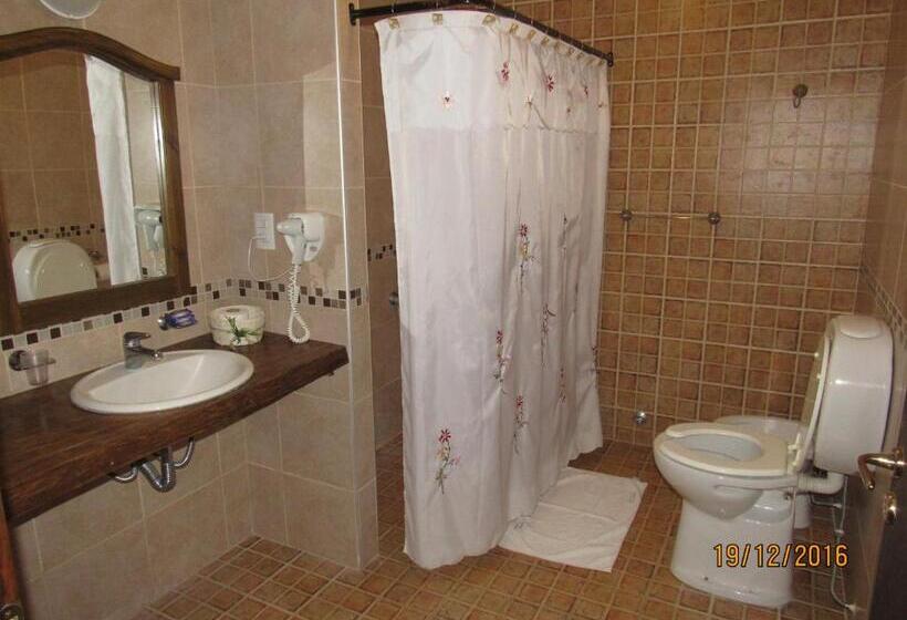 Номер Стандарт, Cabaãƒæ’ã‚â±as Del Ysyry