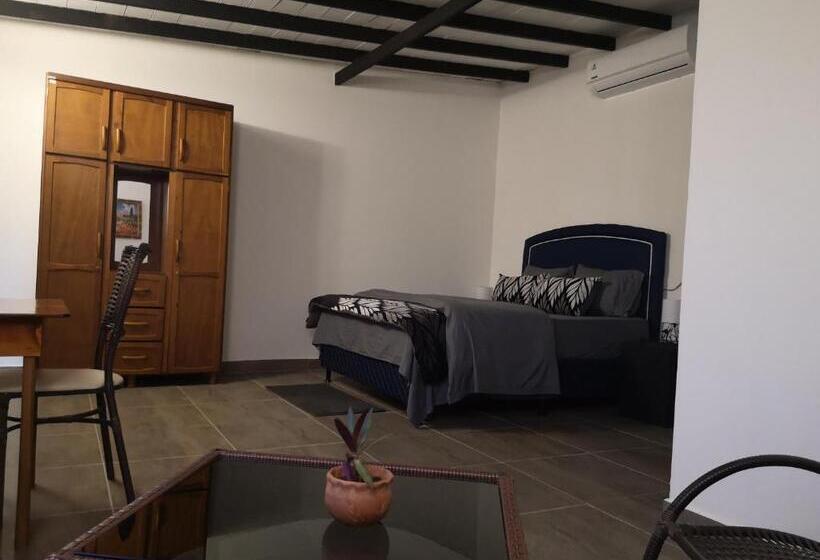 اتاق استاندارد, Adelante   Habitaciones Restaurante Café