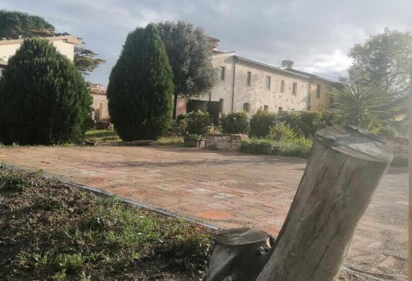 Номер Стандарт, Vecchio Casale Quercetino   Androne