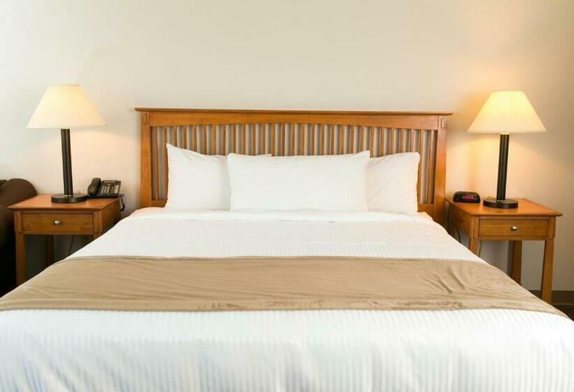 Студио Стандарт Кровать Кинг, High Country Suites