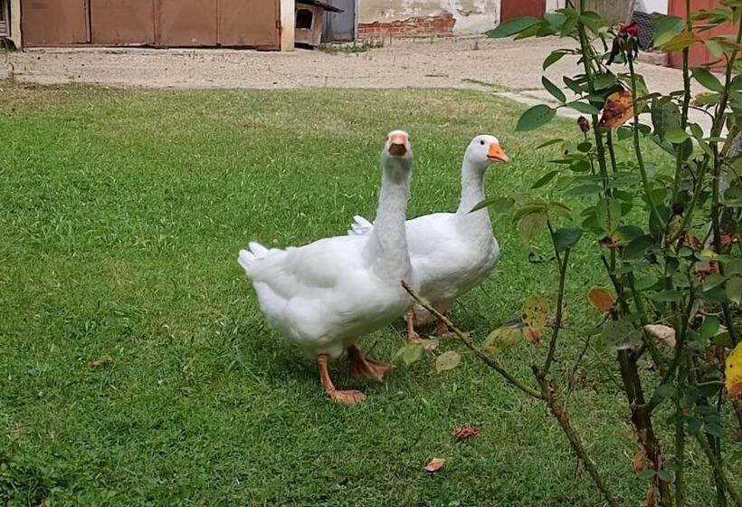اتاق خانوادگی با چشم‌انداز باغ, La Valle Incantata