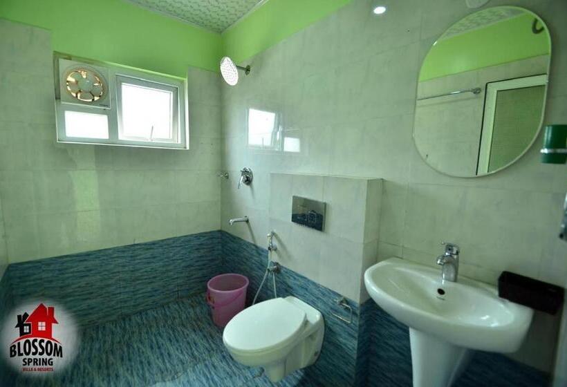 Номер Стандарт Индивидуальный, Blossom Spring Villa