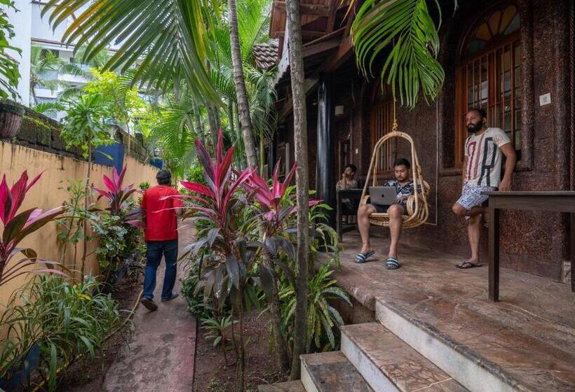 Cama em Quarto Superior Compartilhado, Madpackers Goa Anjuna   Bunks, Rooms, Community