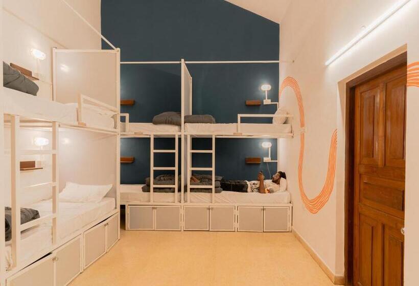 Cama em Quarto Superior Compartilhado, Madpackers Goa Anjuna   Bunks, Rooms, Community