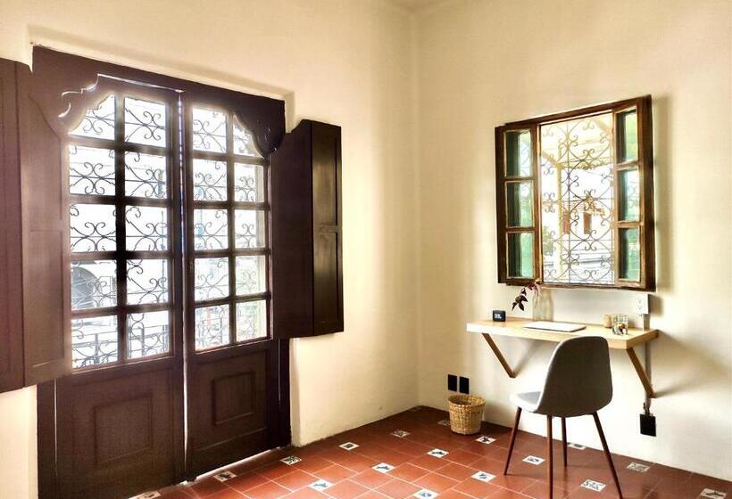 חדר סטנדרט, Coliving Chingon
