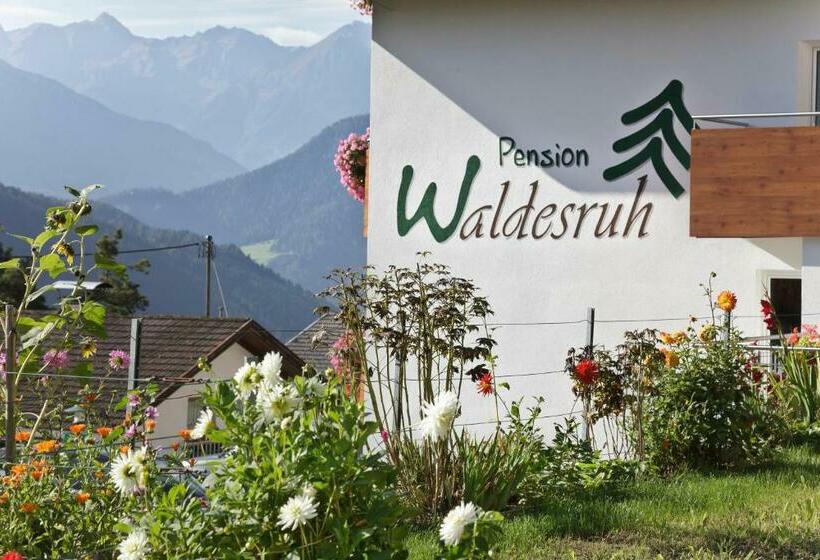 اتاق استاندارد با چشم‌انداز کوهستان, Pension Waldesruh