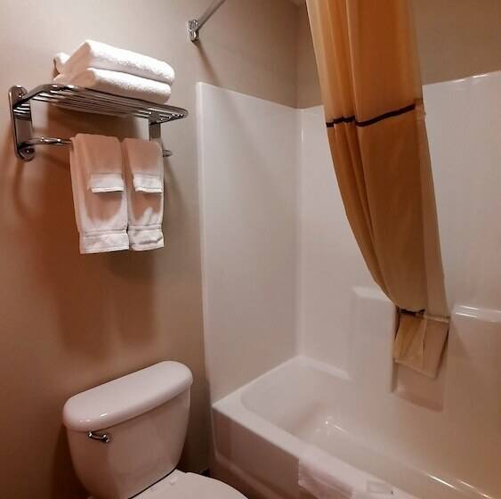 Номер Стандарт, Stonebrook Lodge