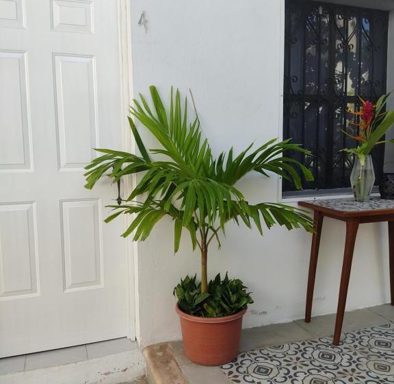 اتاق استاندارد, Casa Mercedes