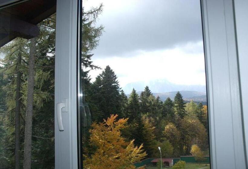 Люкс с Балконом, Vila Edelweiss