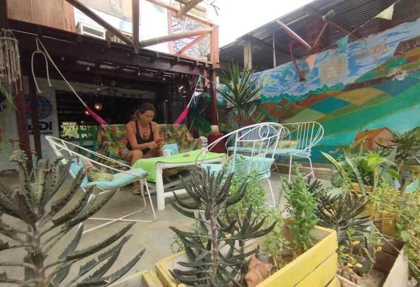 חדר יחיד נוף לגינה, Surf Camp   Máncora