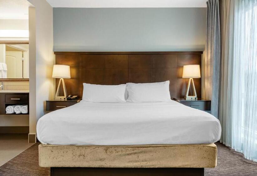 Номер Стандарт Индивидуальный, Staybridge Suites Downtown St Petersburg Florida