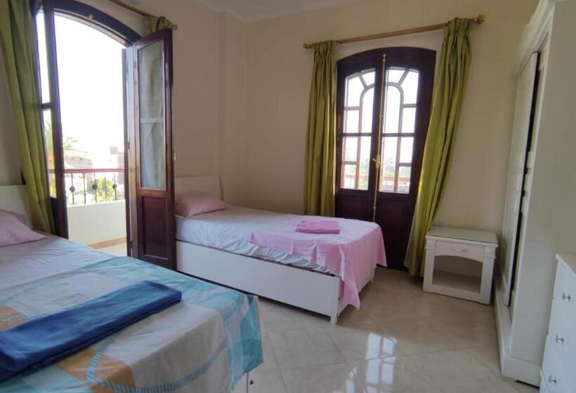 اتاق استاندارد, Dream Island