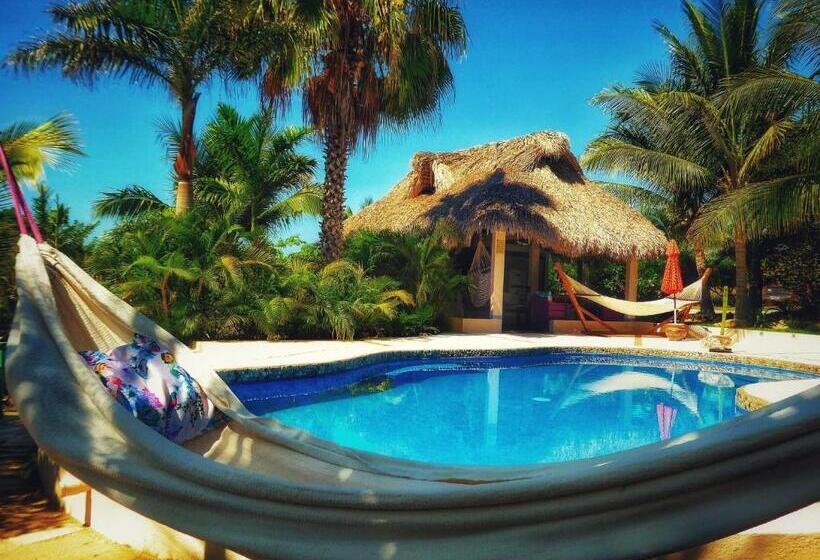 庭の見える１ベッドルームアパートメント, Ocean Oasis Hotel   Adult Only, Four Casitas Boutique Resort
