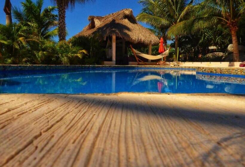 庭の見える１ベッドルームアパートメント, Ocean Oasis Hotel   Adult Only, Four Casitas Boutique Resort