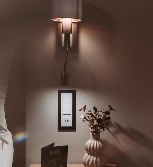 Номер Deluxe, Hôtel Du Midi