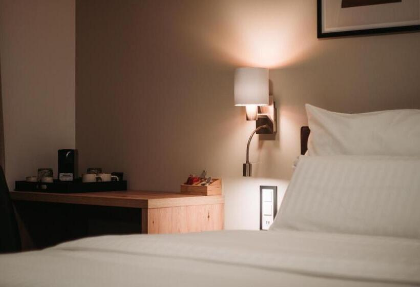 غرفة قياسية سرير كينج لذوى الإحتياجات الخاصة, Hôtel Du Midi