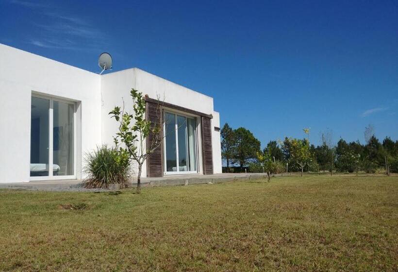 Suite with Terrace, Chacra 6445