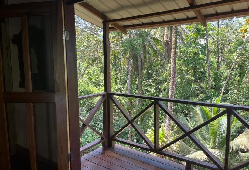 Номер Deluxe с Балконом, The Lodge At Punta Rica  Hilltop Eco Lodge With Views & Pool