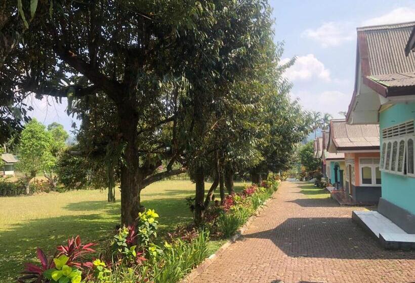 Номер Deluxe, Gardena Resort