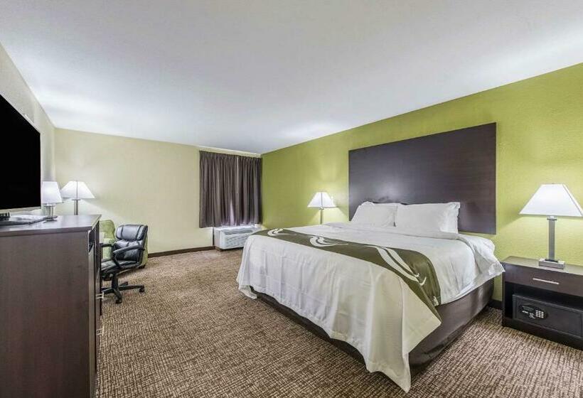 Стандартный Номер Кровать Кинг, Quality Inn & Suites University Area