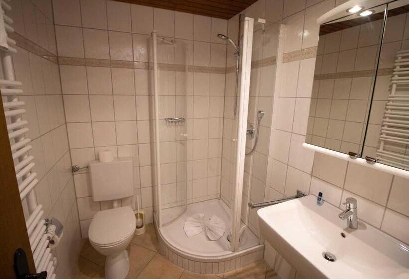 Номер Стандарт Индивидуальный с Балконом, Kur  Und Ferienhotel Haser