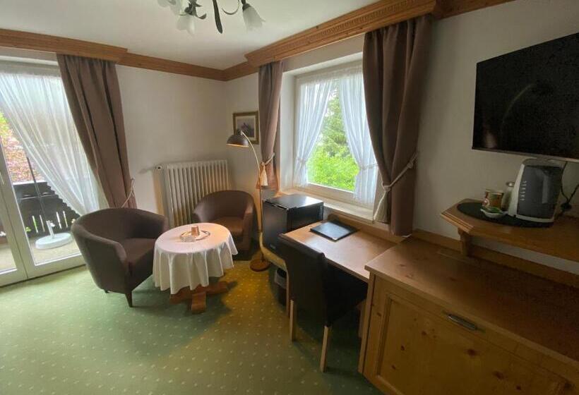 Номер Стандарт, Kur  Und Ferienhotel Haser