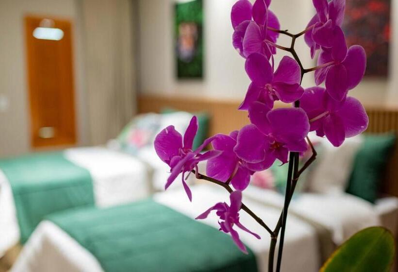 Номер Superior, Spa Agua Milagrosa