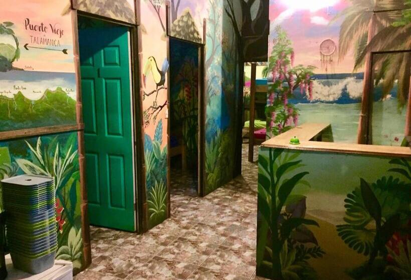 اتاق استاندارد, Oasis Beachfront Hostel