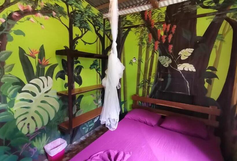 اتاق استاندارد, Oasis Beachfront Hostel