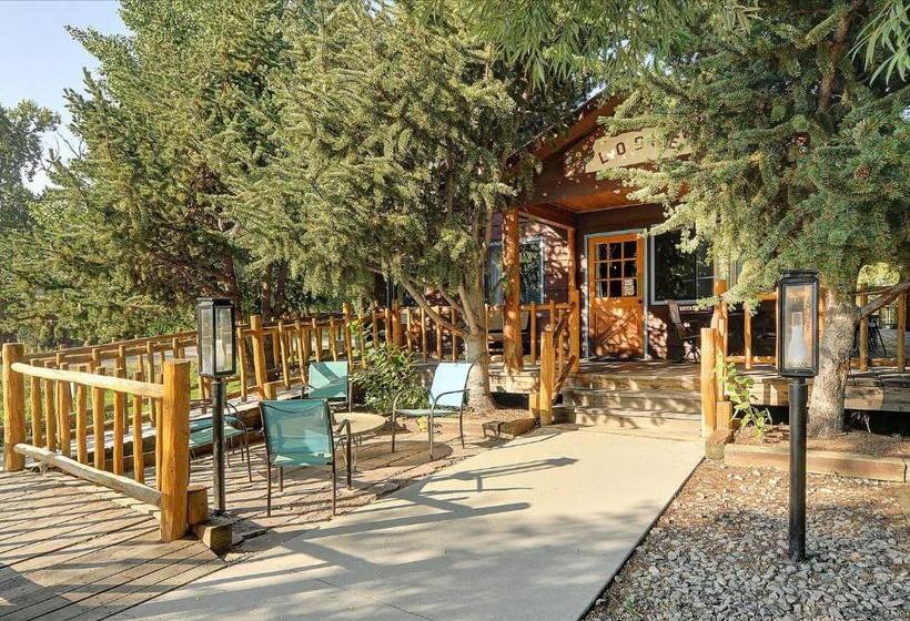 سوییت لوکس, Vista Court Cabins & Lodge