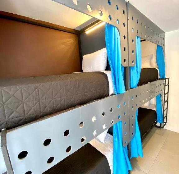 Cama em Quarto Compartilhado, Roomies Hostel Cibeles