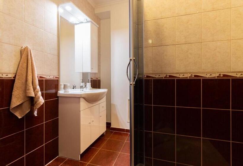 ویلای یک اتاق خوابه با استخر شنا, Szelidi Apartmanok