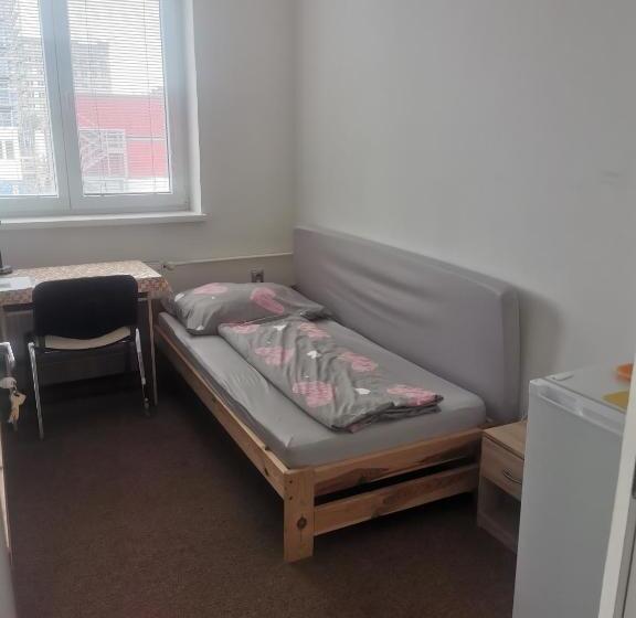 اتاق اکونومی یک تخته, Living Bratislava &mlynské Nivy& Bus Station
