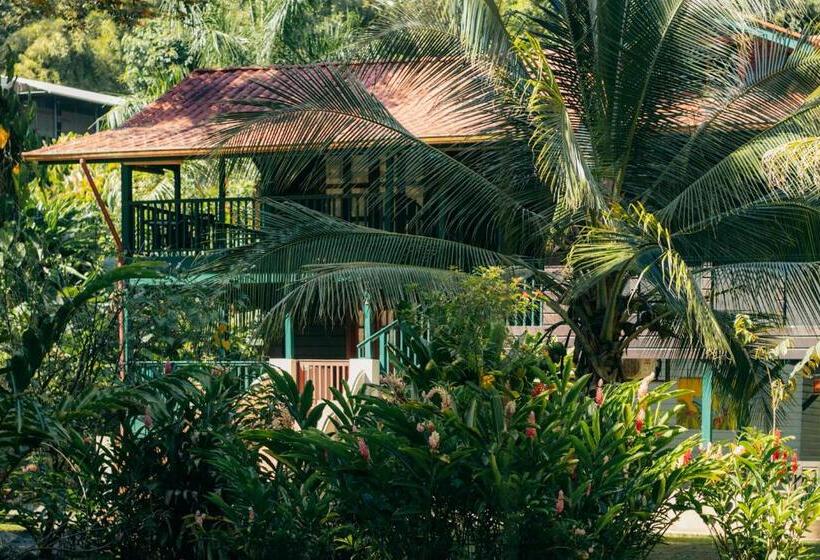 شقة ديلوكس غرفة واحدة, Casa De Mono Bocas