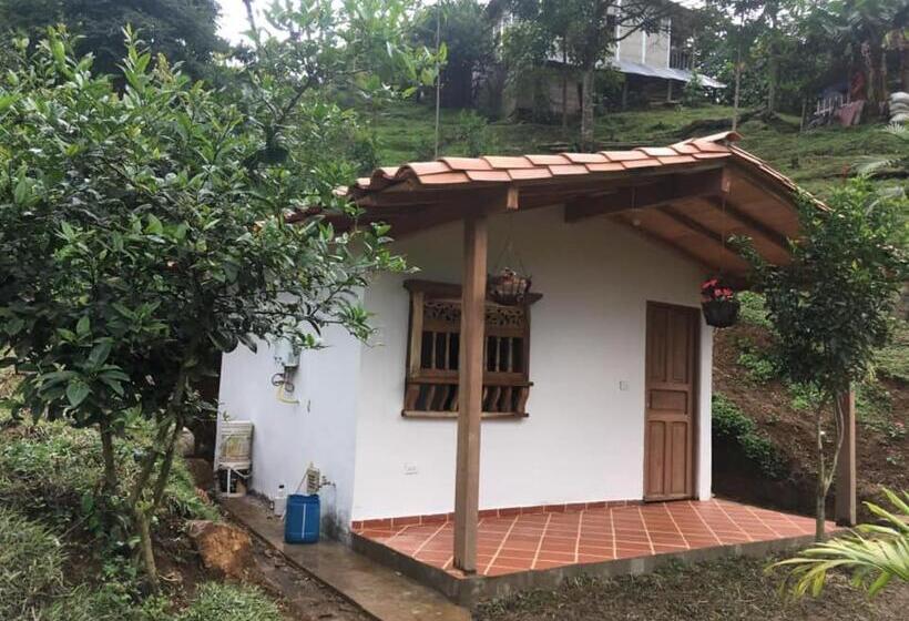 디럭스 룸, Finca Hotel Los Azahares