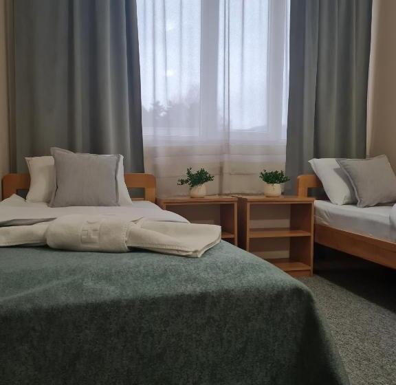 استودیوی استاندارد, Garni Hotel Alma