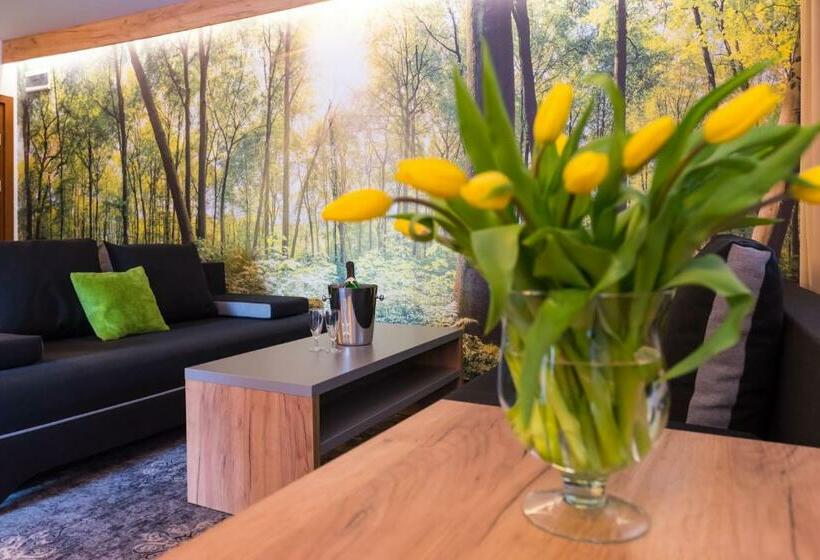 Апартаменты 1 Спальня, Góral Spa&wellness